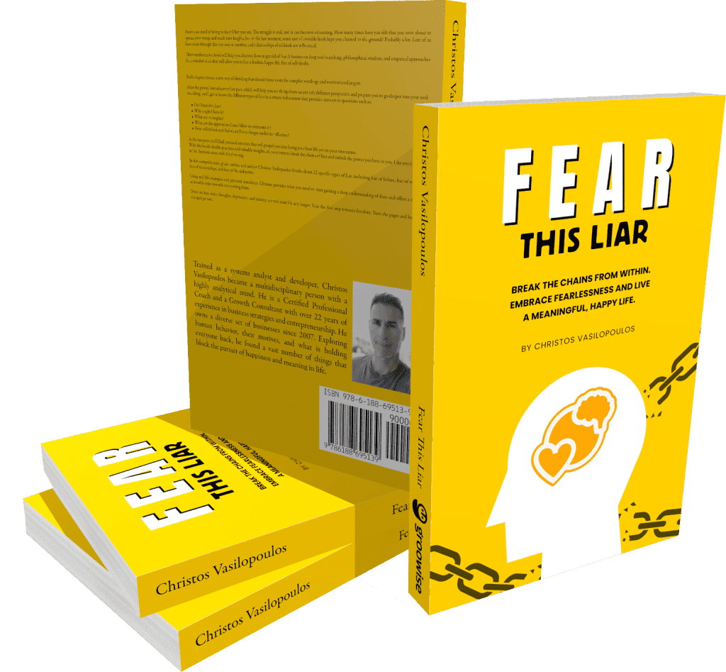 fear this liar book cover